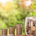 Зеленые финансы: инвестиции в будущее